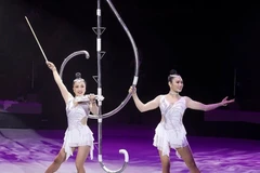 Gana Vietnam premio de oro en Festival Internacional del Circo 