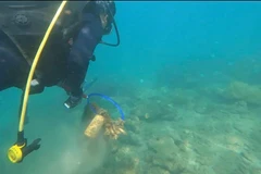 Monitoreo de desechos plásticos ayuda a proteger ecosistemas acuáticos en isla vietnamita