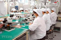 Perspectivas para la recuperación y crecimiento económico de Vietnam