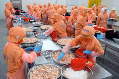 Exportaciones vietnamitas muestran buen desempeño en lo que va de año