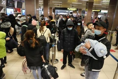 Vietnamitas en República Checa y Eslovaquia ayudan a compatriotas evacuados de Ucrania