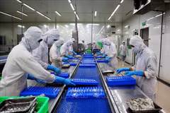 PIB del sector agrícola de Vietnam crece 3,36 por ciento
