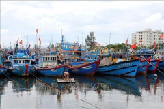 Tormenta Noru podría provocar fuertes lluvias en región central de Vietnam