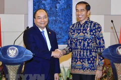 Académico indonesio enaltece significado de próxima visita de presidente vietnamita