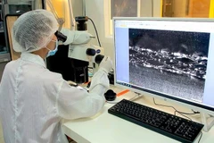 Parque de alta tecnología en Ciudad Ho Chi Minh por atraer más inversiones