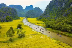 Exploran encanto de la naturaleza en la provincia de Ninh Binh