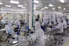 Vietnam introduce ambiente de negocios en prefectura japonesa