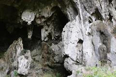 Pagoda de Hang Uc: valiosa reliquia de provincia vietnamita
