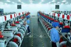 Experto foráneo elogia medidas de desarrollo socioeconómico de Vietnam