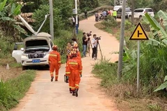 Vietnam envía condolencias a China por accidente aéreo
