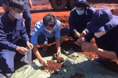  Buscan repatriar mártires vietnamitas fallecidos en Camboya