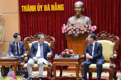 Da Nang atrae inversión de empresas japonesas 