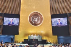 Vietnam pide diálogo y protección de civiles en sesión especial de Asamblea General de la ONU sobre Ucrania