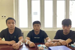 Desmantelan en provincia de Lao Cai línea organizadora de entrada ilegal a Vietnam