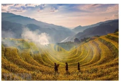 Experimenta turismo de Mu Cang Chai en Vietnam fuerte recuperación