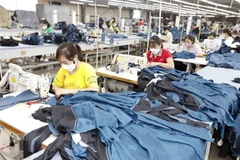 Vietnam, punto brillante del panorama económico mundial