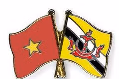Vietnam felicita a Brunéi por su Fiesta Nacional