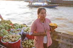 Ciudad Ho Chi Minh organiza el primer festival de frutas