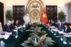 Vietnam y Argelian efectúan consulta política a nivel de vicecanciller