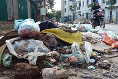 Ciudad Ho Chi Minh refuerza la gestión y reducción de residuos plásticos
