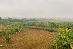 Hanoi construirá parque cultural y turístico en un islote aluvial en Río Rojo