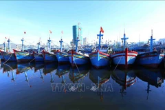 Provincias vietnamitas refuerzan medidas contra la pesca ilegal
