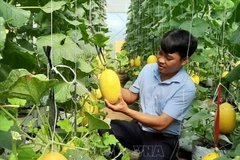 Provincia vietnamita de Ninh Thuan dedica fondo millonario a reducción de pobreza sostenible