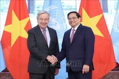 Vietnam exhorta el mayor apoyo de la ONU para el desarrollo nacional