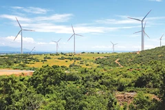 Vietnam, “destino verde” de inversionistas de Bélgica
