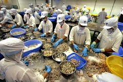 Promueven intercambio comercial entre Vietnam y Sudáfrica