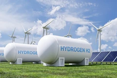 Debaten en Hanoi sobre desarrollo de energía de hidrógeno renovable 