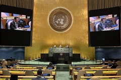Vietnam reitera apoyo a un Sudeste Asiático libre de armas nucleares