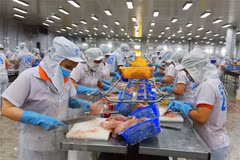 Estados Unidos mantiene tasa del impuesto antidumping para pescados vietnamitas