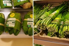 Vietnam se esfuerza por eliminar residuos plásticos
