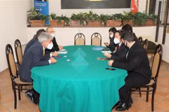 Abogados italianos asisten a empresas vietnamitas en caso de fraude en exportaciones de anacardo