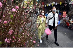 Hanoi abrirá cientos de mercados de flores durante el Año Nuevo Lunar