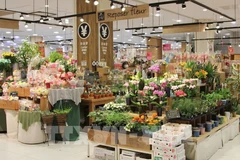Oportunidad para las mercancías vietnamitas al mundo desde el mercado japonés