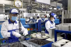 Empresas estadounidenses en Vietnam optimistas sobre las perspectivas de desarrollo
