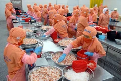 Exportaciones vietnamitas muestran buen desempeño en lo que va de año