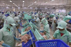 Intercambio comercial Vietnam-Australia reporta señales positivas