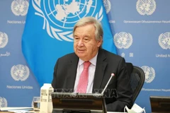  Vietnam y ONU fomentan relaciones de asociación 