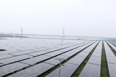 Vietnam lidera la región del Sudeste Asiático en transición a la energía limpia