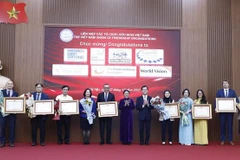 Siete ONG recibieron certificado de mérito por sus aportes al desarrollo de Vietnam