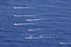 Premier vietnamita expresa condolencias por naufragio de barco turístico en Japón