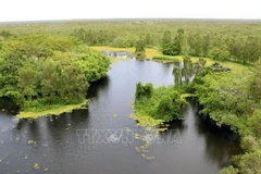 Parque nacional U Minh Thuong, destino de ecoturismo hospitalario en Vietnam