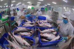 Cae la exportación vietnamita de camarones y sube la del pescado Tra