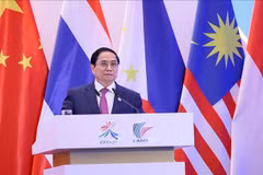 Vietnam aporta propuestas en eventos comerciales China-ASEAN
