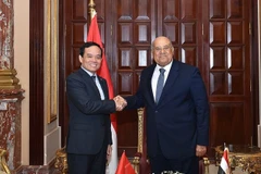 Vicepremier vietnamita se reúne con dirigentes parlamentarios de Egipto