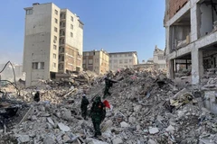 Socorristas vietnamitas siguen localizando otras víctimas de terremoto en Turquía