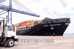 Puertos marítimos de Vietnam reciben grandes buques en el Tet